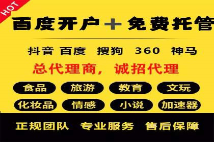 百度广告竞价策略详解：某电商平台的成功案例